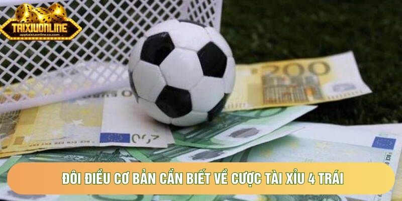 Đôi điều cơ bản cần biết về cược tài xỉu 4 trái